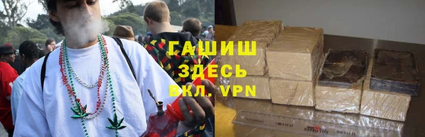 амф Дмитриев