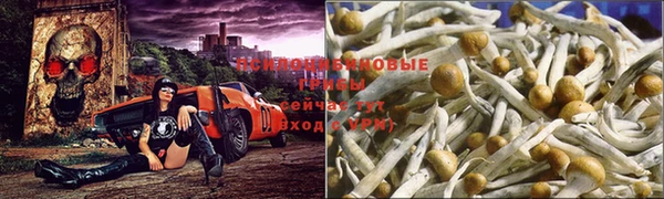 мдма Дмитровск
