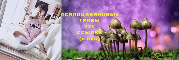 трава Дмитров